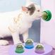 Кошачья мята, липучка для котов с мятой, игрушка для кошек ROTATING CAT MINT BALL