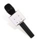 Караоке микрофон Fan Music Q-7 Wireless беспроводной с колонкой