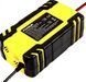 Зарядний пристрій для автомобільного акумулятора Foxsur FBC122408D 12V/24V імпульсний автоматичний