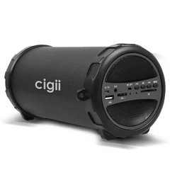 Колонка CIGII S11E