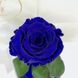 Роза синяя в колбе "маленькая" с LED подсветкой желтого цвета, отличный подарок любимой девушке