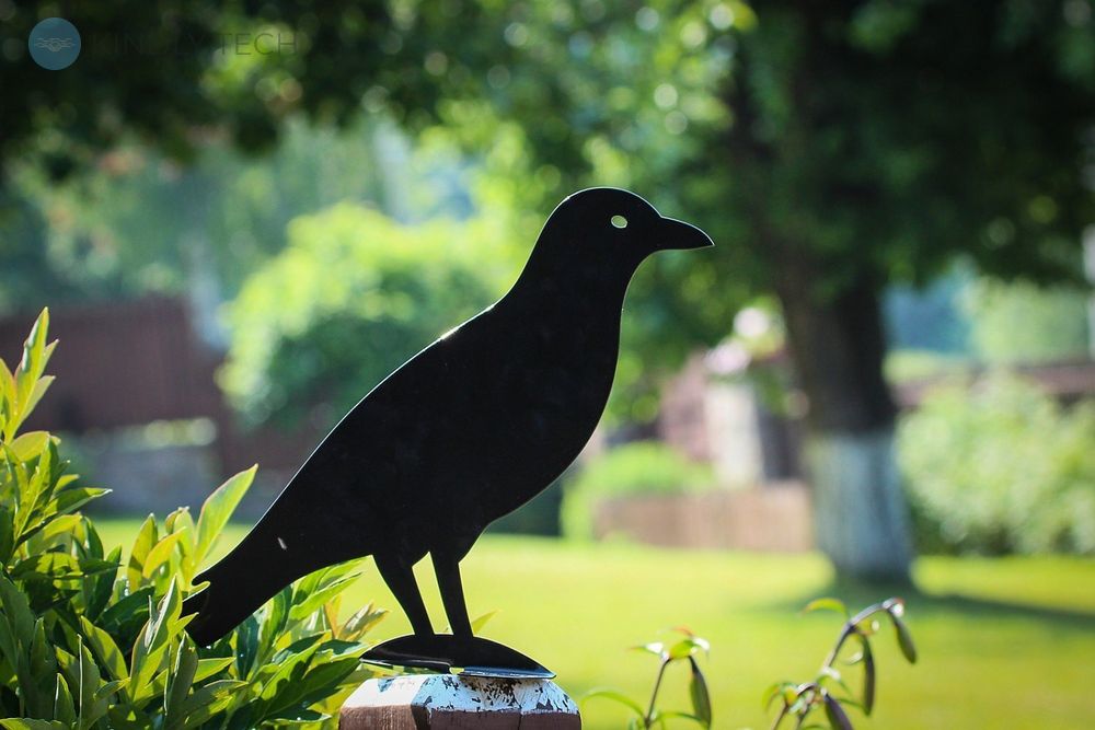 Декоративная металлическая фигура для сада «Ворона», Чорний