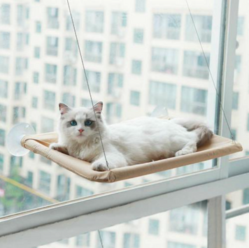 Лежанка для кошек на окно Window Mounted Cat Bed на липучках