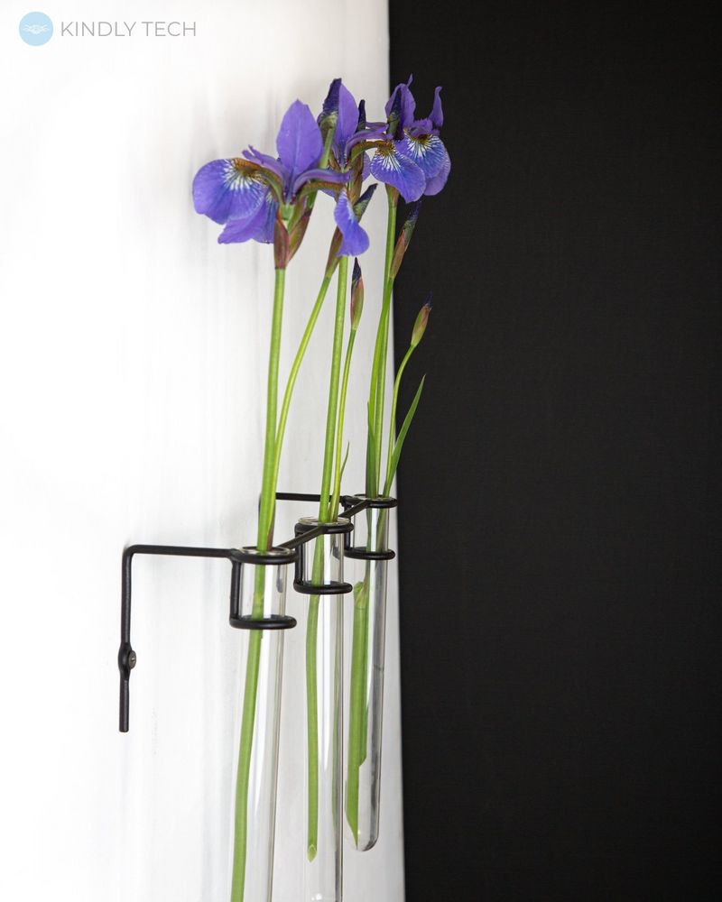 Настінна мінімалістичний ваза «Three plants»., Чорний