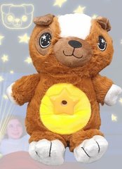 М'яка іграшка нічник-проектор зоряного неба Star Bellу Dream Lites Puppy Медведь