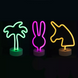 Ночной неоновый светильник — Neon Amazing — Flash