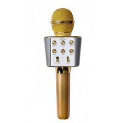 Беспроводной микрофон-караоке WSTER WS-1688 Gold