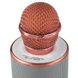 Бездротовий портативний вокальний караоке-мікрофон Bluetooth WS-858 pink