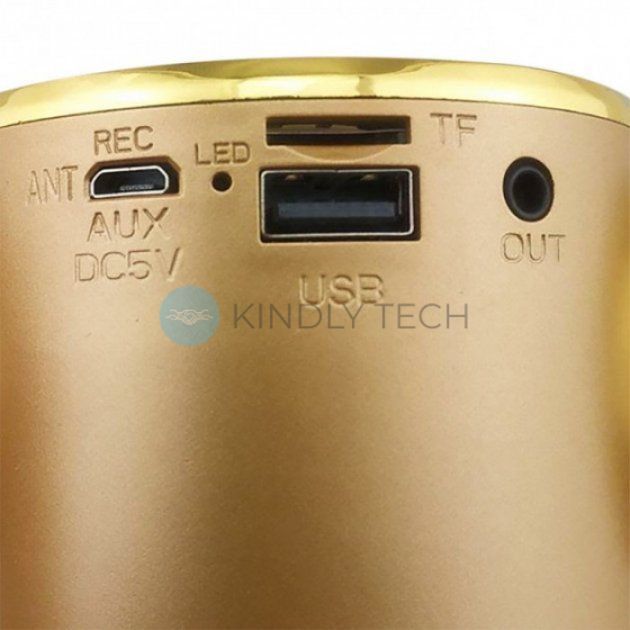 Беспроводной караоке-микрофон Wster WS-669 со встроенным динамиком Gold
