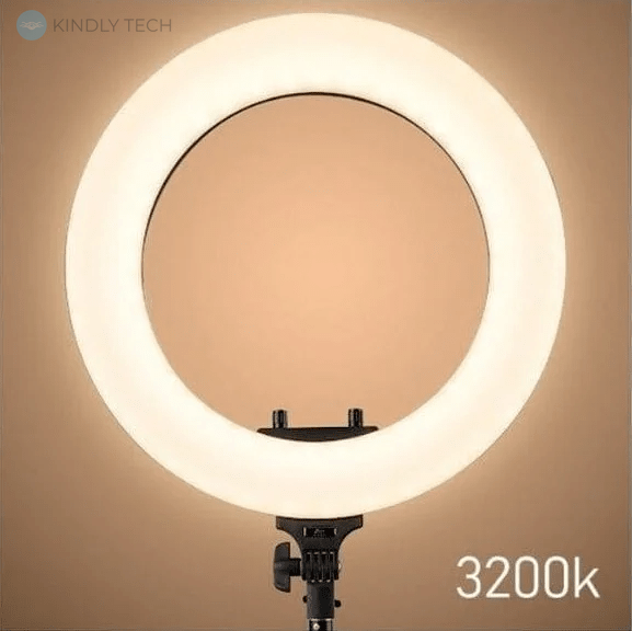 Кільцева лампа світлодіодна LED Soft Ring Light RL-21, 54 см