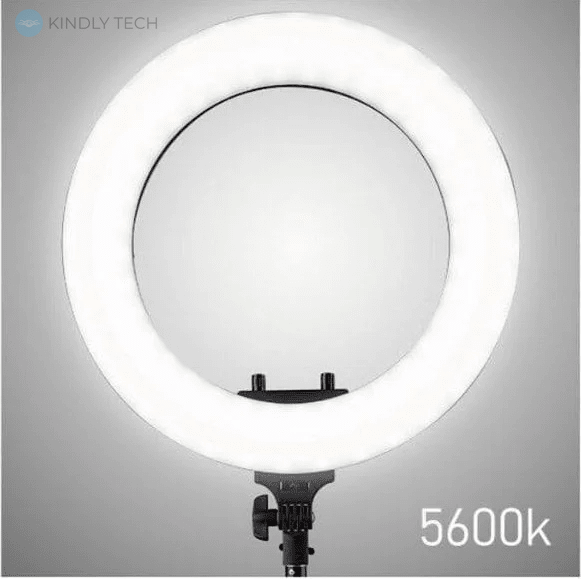 Кольцевая лампа светодиодная LED Soft Ring Light RL-21, 54 см