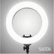 Кільцева лампа світлодіодна LED Soft Ring Light RL-21, 54 см