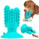 Іграшка для собак Bronzedog PetFun Dental Кактус на присосці