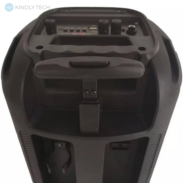 Автономна акустична система 10W із мікрофоном RX-8188 Bluetooth колонка