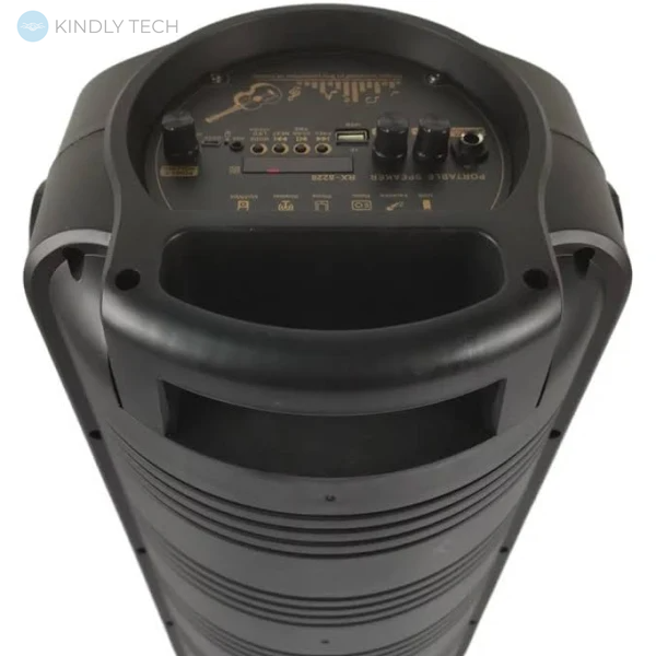 Автономная акустическая система 30W с микрофоном RX-8228 Bluetooth колонка