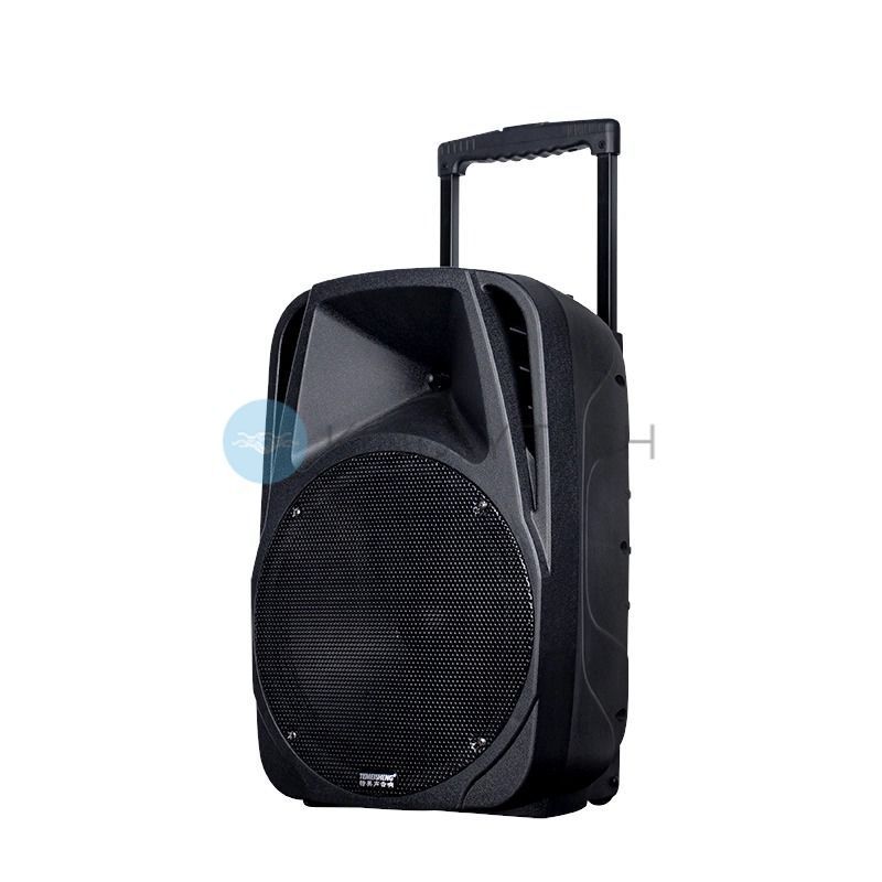 Колонка Temeisheng A18X bluetooth 12&Prime; два микрофона