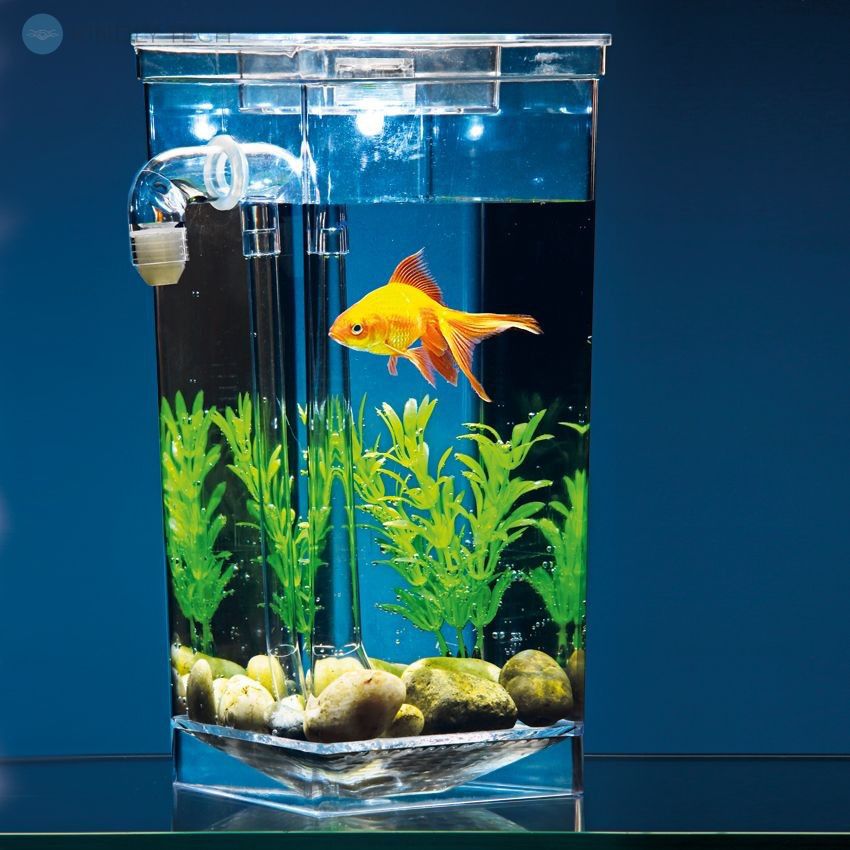 Акриловый самоочищающийся аквариум My Fun Fish