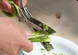 Кухонные ножницы для нарезки зелени 10 лезвий