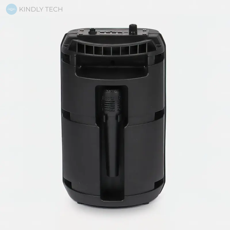 Автономна акустична система 10W з мікрофоном RX-6168 Bluetooth колонка