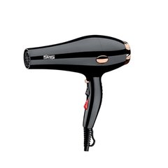 Професійний фен для сушіння волосся з концентратором DSP 30101 1600 Вт