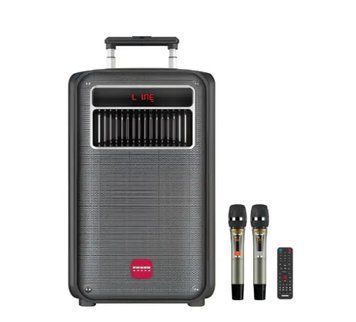 Bluetooth-колонка Temeisheng SL 10-22 с караоке и аккумулятором