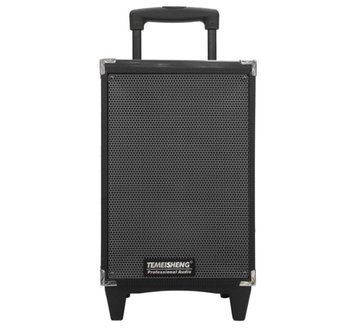 Портативная Bluetooth колонка Temeisheng A8-2T с беспроводным микрофоном