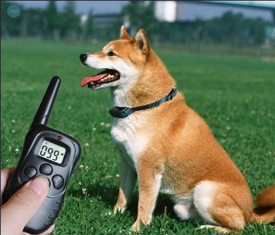 Комплект для тренувань собак DOG TRAINING