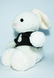 Мягкая игрушка плюшевый Зайчик белого цвета, длиной 30 см, в свитере