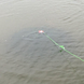 Посилена автоматична рибальська мережа нейлонова Athlantica з 4-8 отворами, для риби та креветок