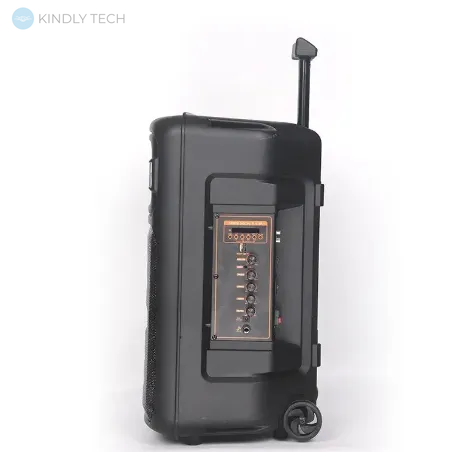 Автономная акустическая система 10W с беспроводным микрофоном NDR-Q08 Bluetooth колонка