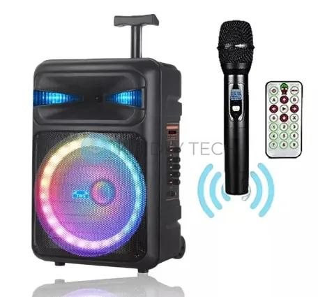 Автономная акустическая система 30W с беспроводным микрофоном NDR-Q15 Bluetooth колонка