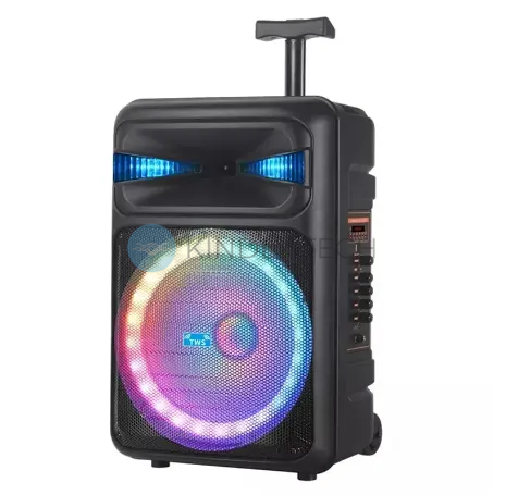 Автономная акустическая система 30W с беспроводным микрофоном NDR-Q15 Bluetooth колонка