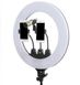 Професійна кільцева LED лампа на три кріплення (SLP-G500) діаметр 45см, на дистанційному управлінні